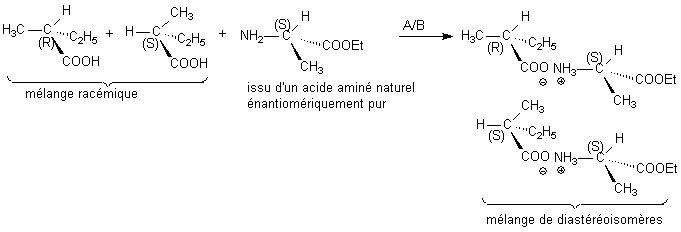 Rsolution racmique Acide / acide amin